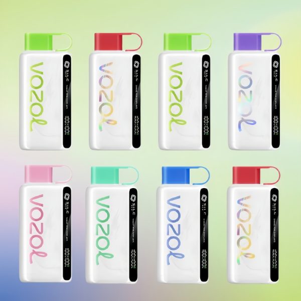 Vaper VOZOL Star 12000 Puffs | Vaper Store