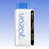 Vaper VOZOL Star 12000 Puffs | Vaper Store