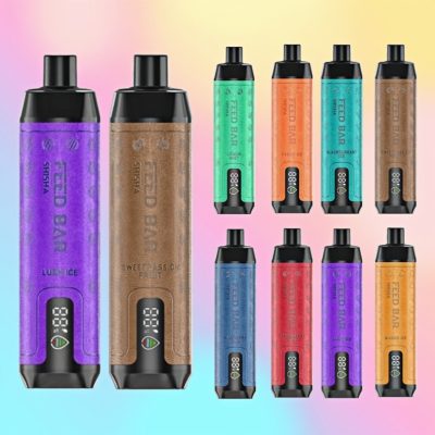 Vaper VapSolo Shisha 15000 Puffs | Vaper Store Vaper VapSolo Shisha 15000 Puffs | Vaper Store