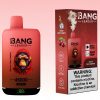 Bang Leader 45000 Caladas | Vaper Store