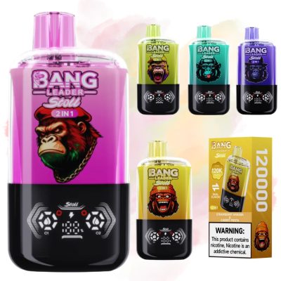 Vaper Bang Leader 120k caladas | Vaper Store Vaper Bang Leader 120k caladas | Vaper Store
