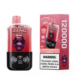 Vaper Bang Leader 120k caladas | Vaper Store Vaper Bang Leader 120k caladas | Vaper Store