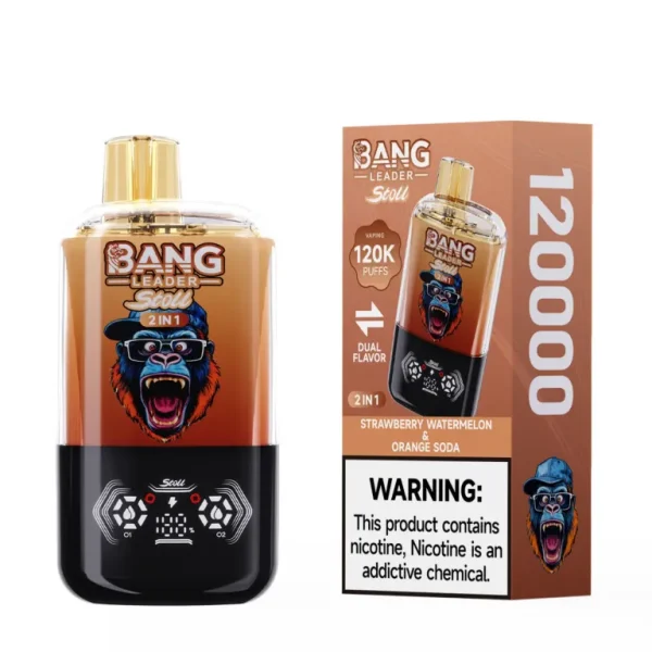 Vaper Bang Leader 120k caladas | Vaper Store Vaper Bang Leader 120k caladas | Vaper Store