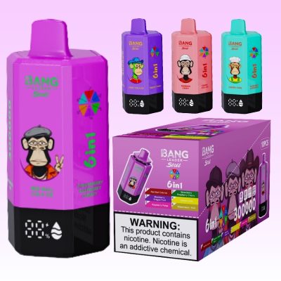 Bang Leader 300k Puffs | Vaper Store Bang Leader 300k Puffs | Vaper Store