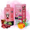 Bang Leader 300k Puffs | Vaper Store Bang Leader 300k Puffs | Vaper Store