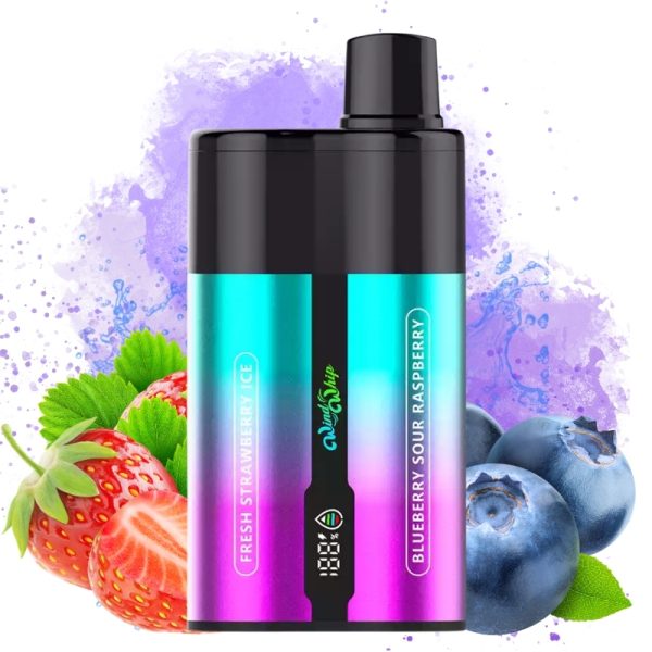 JNR WindWhip 44000 Puffs | Vaper Store JNR WindWhip 44000 Puffs | Vaper Store